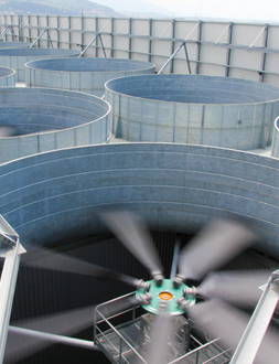 Cooling Tower Services